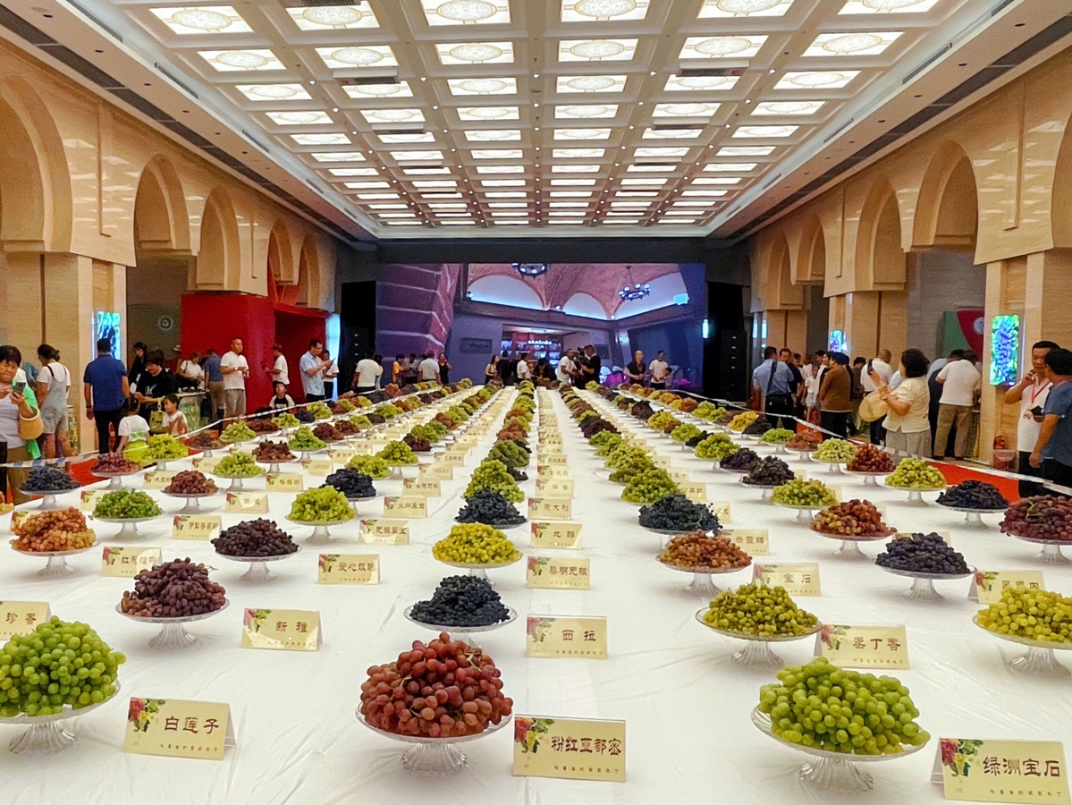 新疆三道坝酒图片