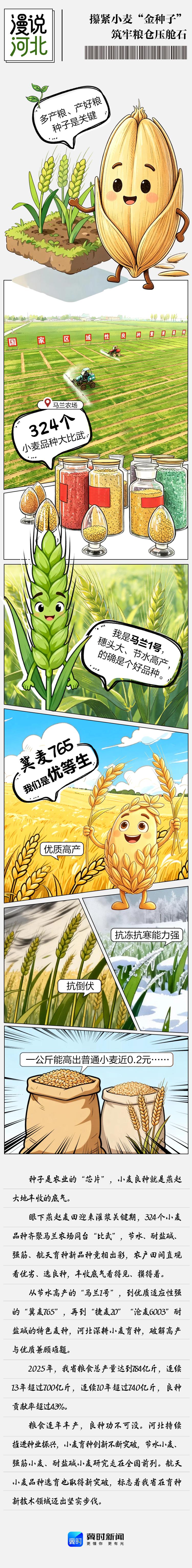 漫说河北｜攥紧小麦“金种子”，筑牢粮仓压舱石