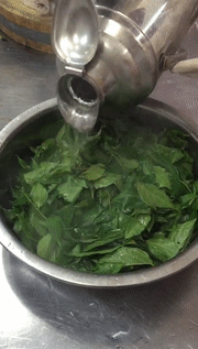 制作斑鸠叶豆腐的初步流程