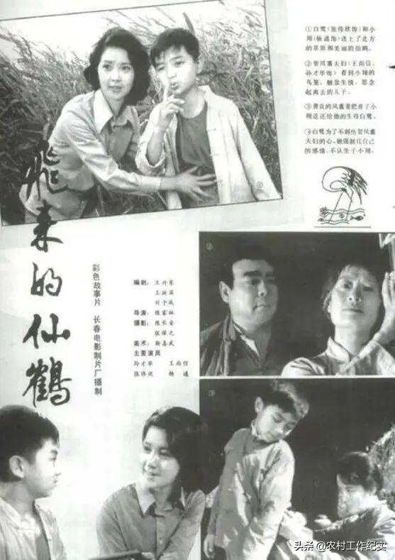 光影新农村《飞来的仙鹤》是一部优秀的儿童电影,劳动者的人情美