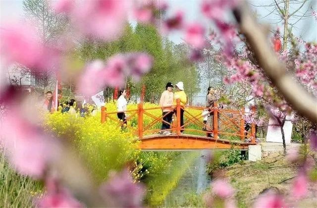 赏桃花美景,来宝应夏集