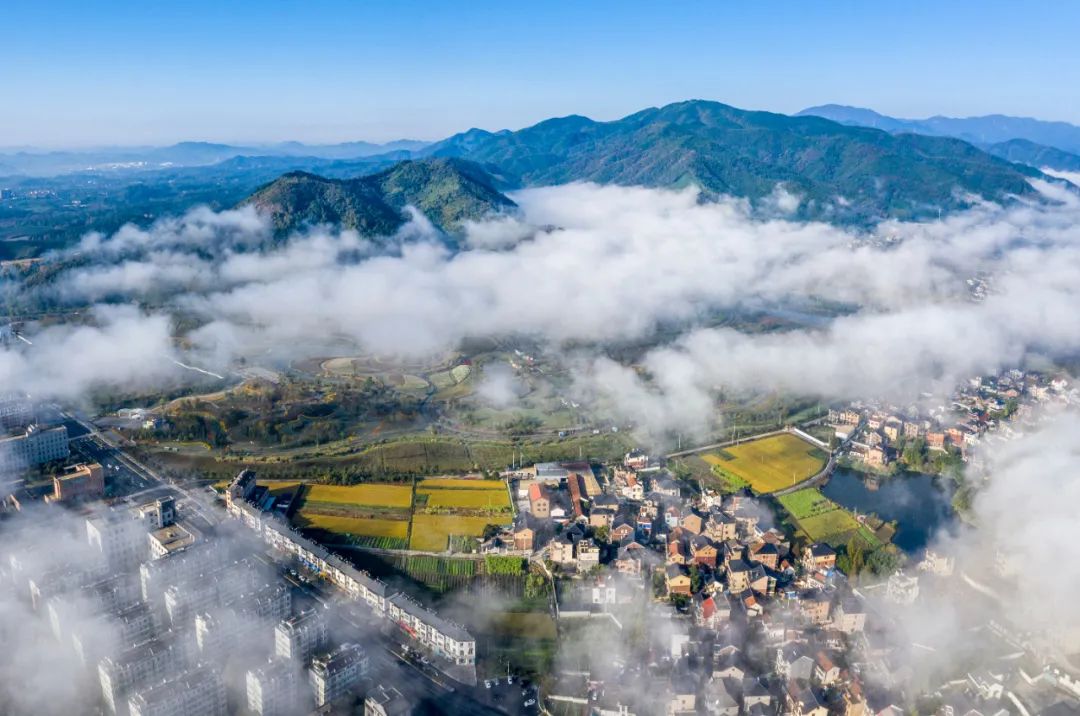 径山,仓前……余杭城乡风貌整治提升,未来社区建设,成绩亮眼!