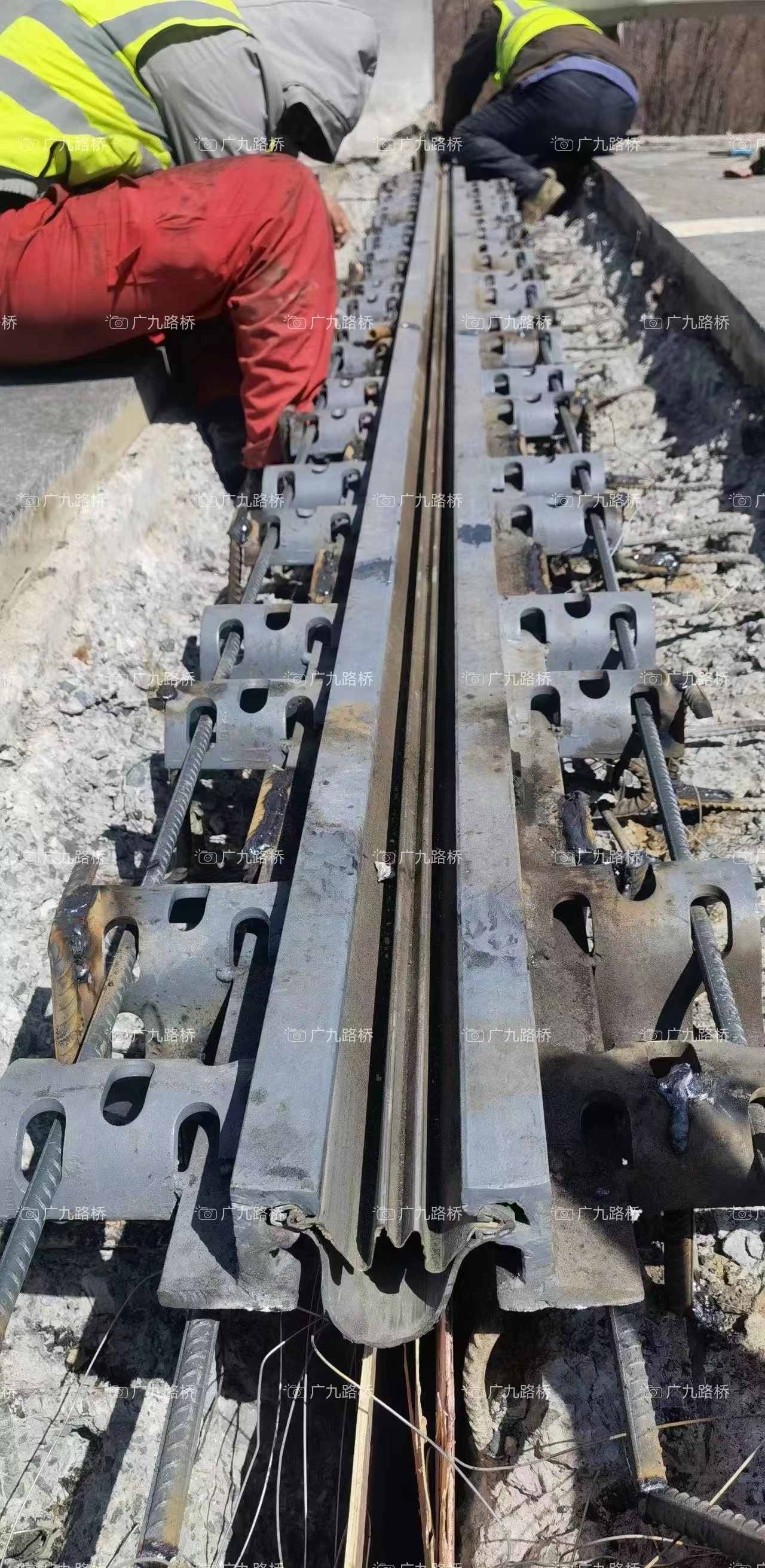 双胶条桥梁伸缩缝 苏州 双层止水带桥梁伸缩缝 桥梁双胶条伸缩缝