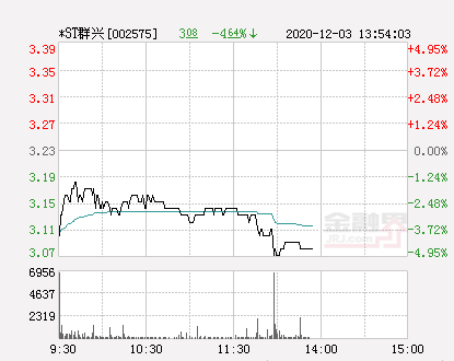 快讯*st群兴跌停 报于3.07元-股票频道-金融界