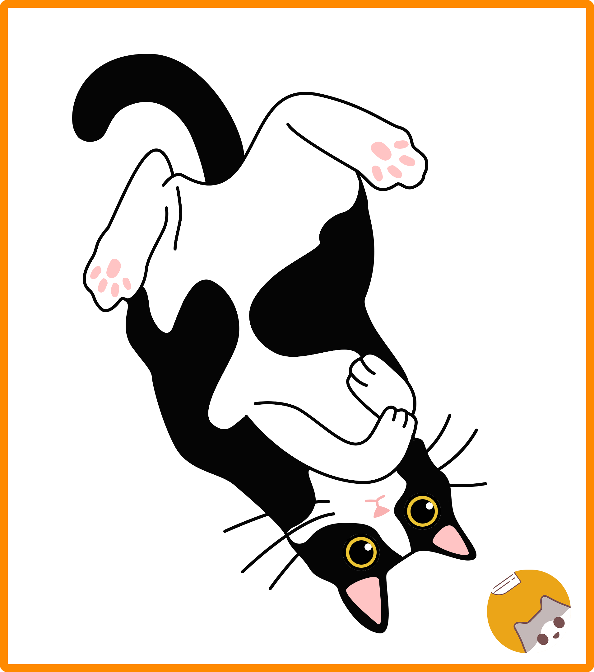 奶牛猫科普|原来奶牛猫个个都是干大事的!