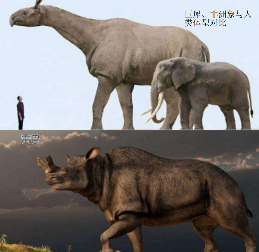 远古人类宁愿捕杀猛犸象,也不敢动小得多的非洲象,原因何在?