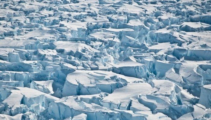 再现西瓜雪,南极被染红,科学家:人类或面临巨大灾害