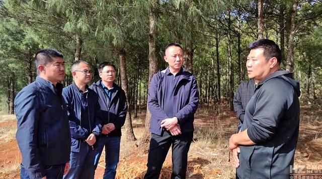 王正宇到矿山镇调研肉牛养殖产业发展情况