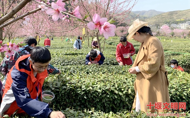 竹坪中学图片