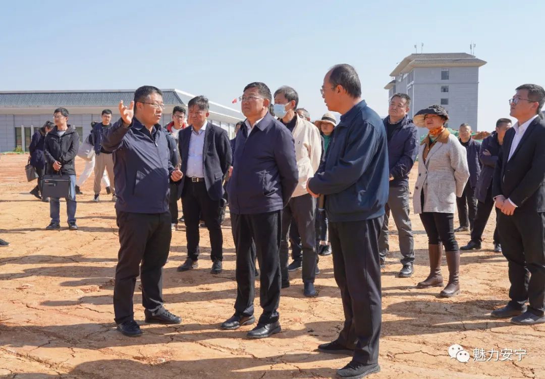 杨正晓带队到安宁市调研生物医药产业发展