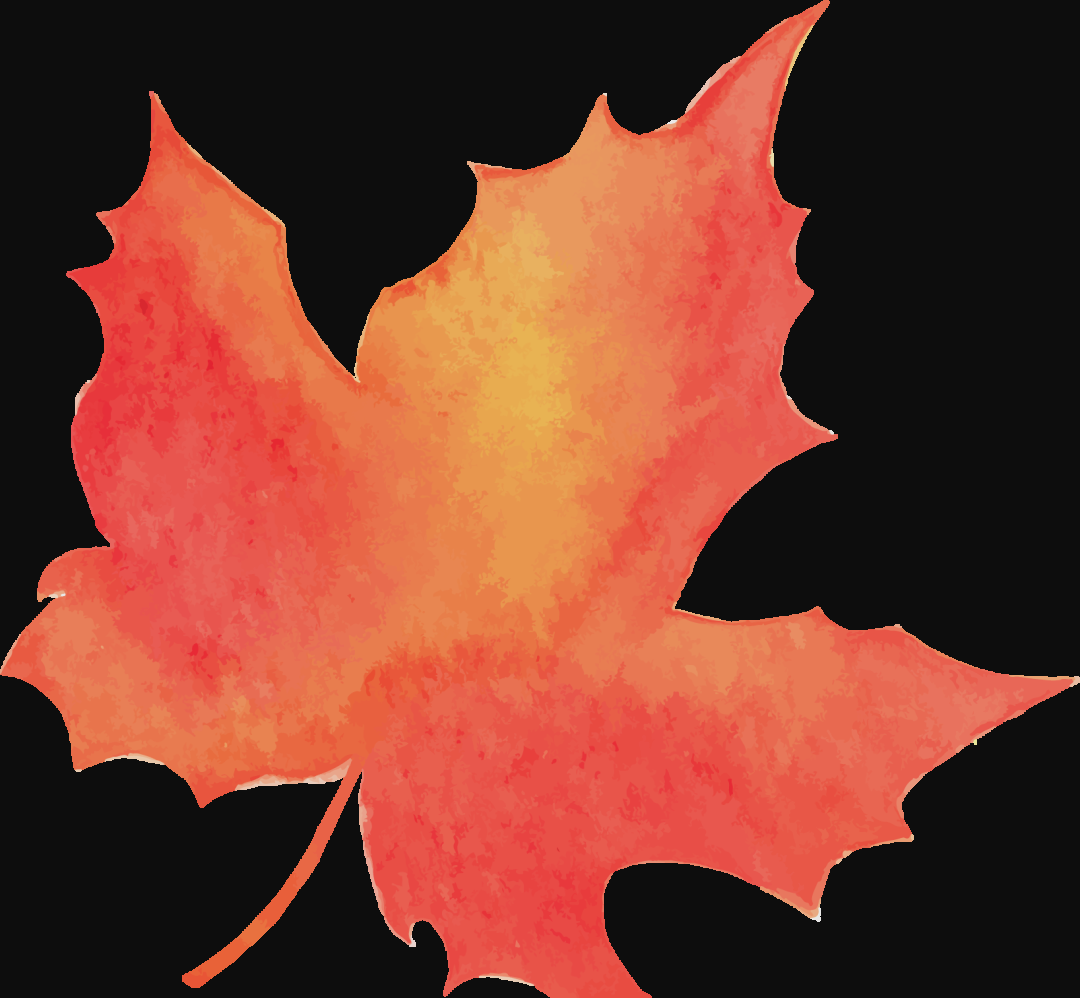 从礼仪到实练,芯青年在射艺活动中找寻自我