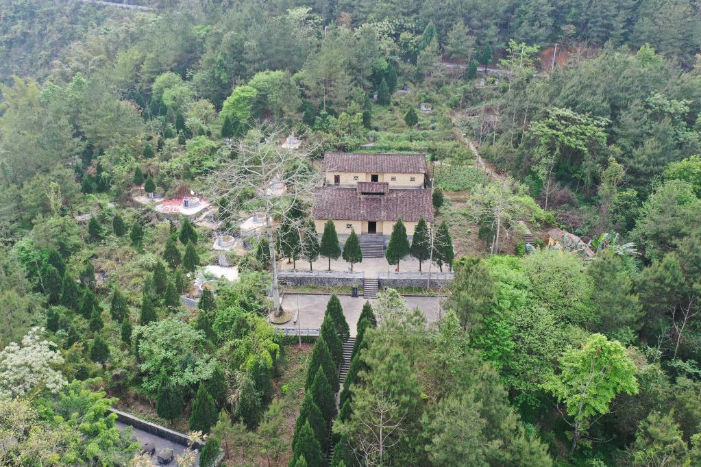 一排家族墓碑背后的伟大牺牲——清明之际追寻"拔哥"的故事