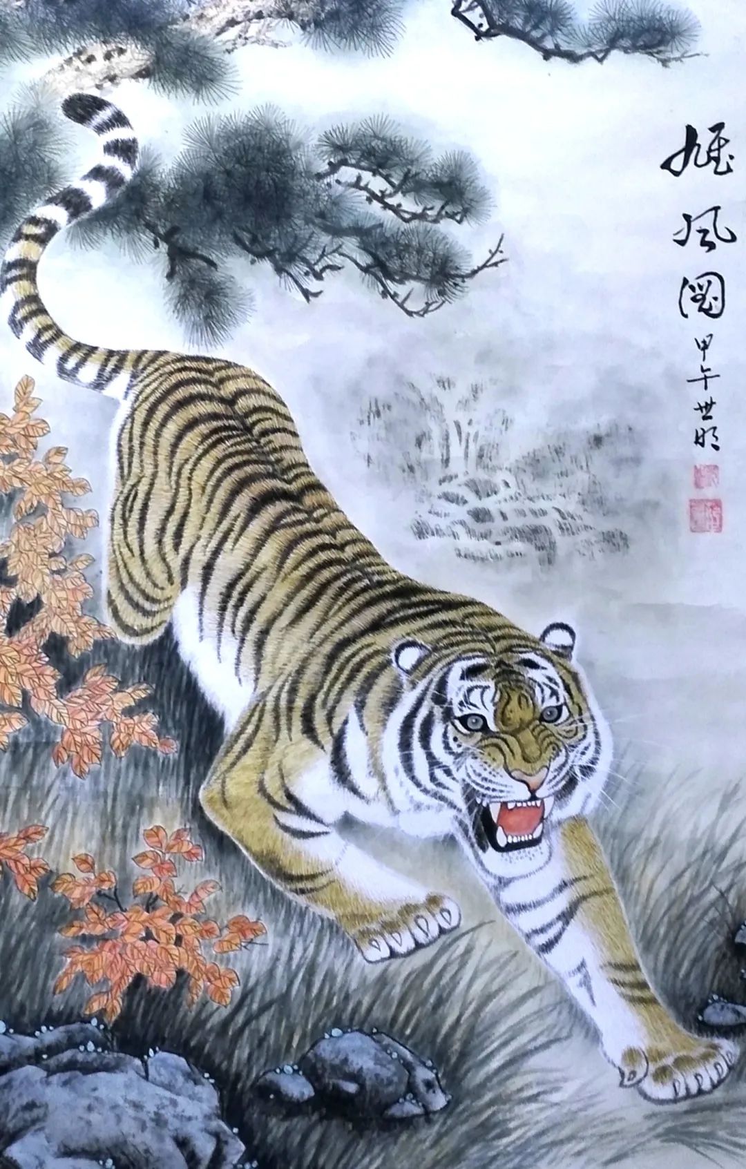 大批老虎现身!万州人快来看!