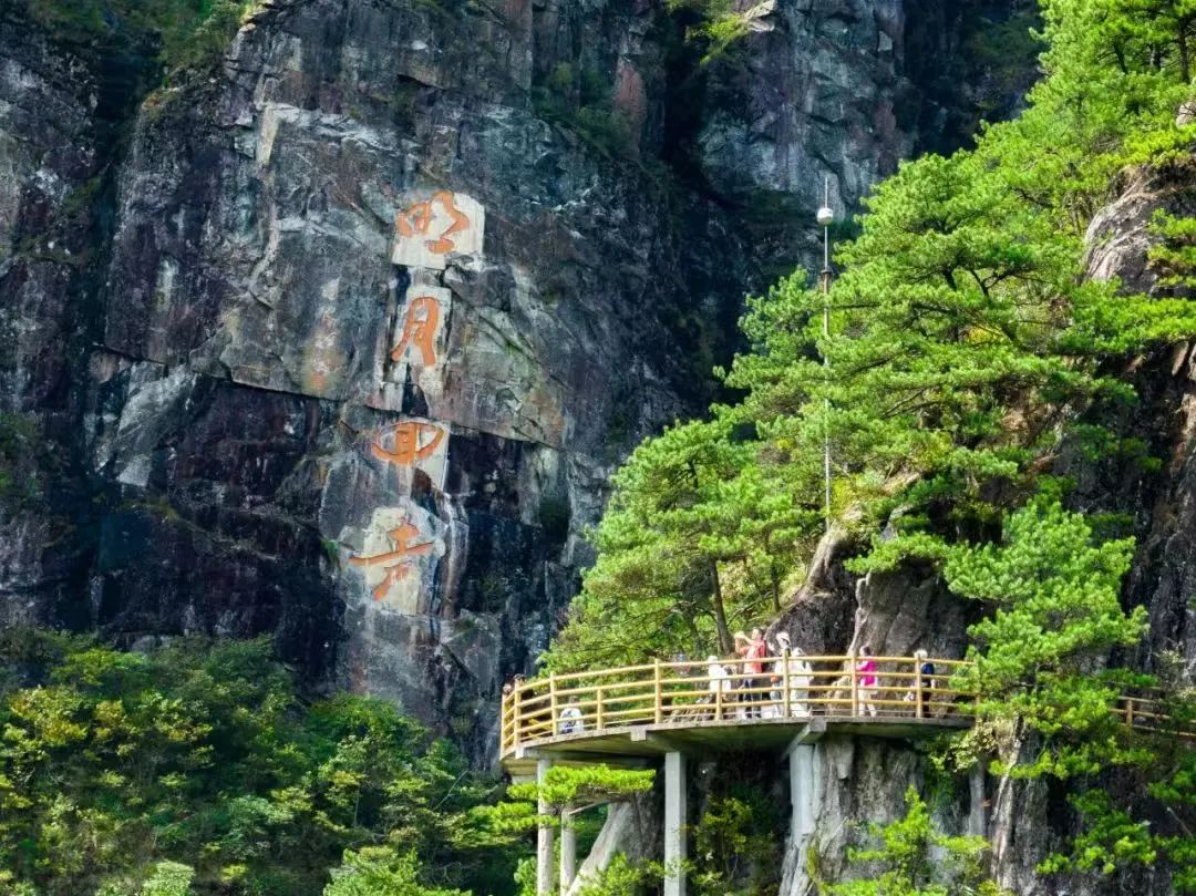 江西润鸿滑草场门票图片