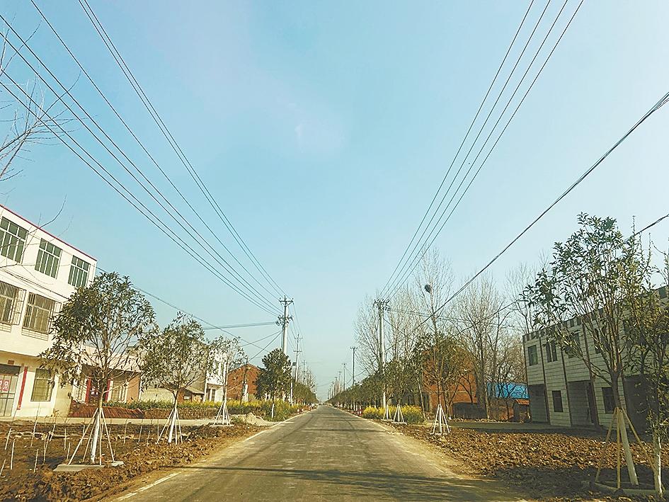 美丽杨垱 绿色崛起——枣阳市杨垱镇构建绿色生态发展新格局