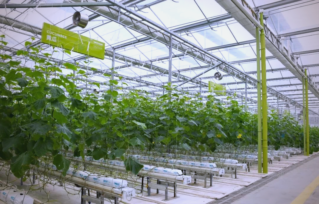 上饶智能化农业设备广泛应用,推动农业高质量发展