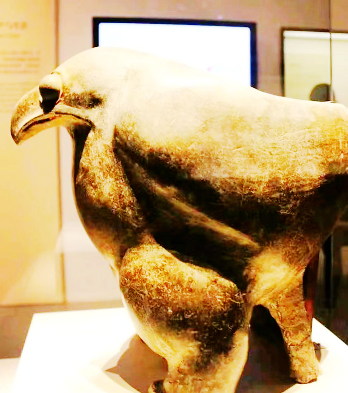 陶鹰鼎是跨越5000年历史的重要文物.