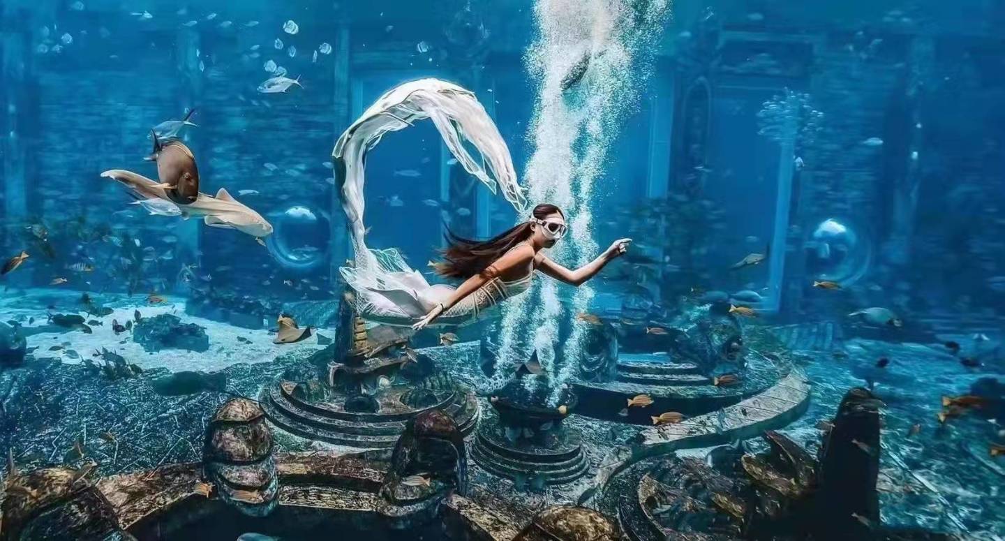 潜羽美人鱼追光2023|潜水,一个全新的世界