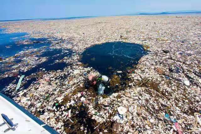 垃圾漂浮岛图片