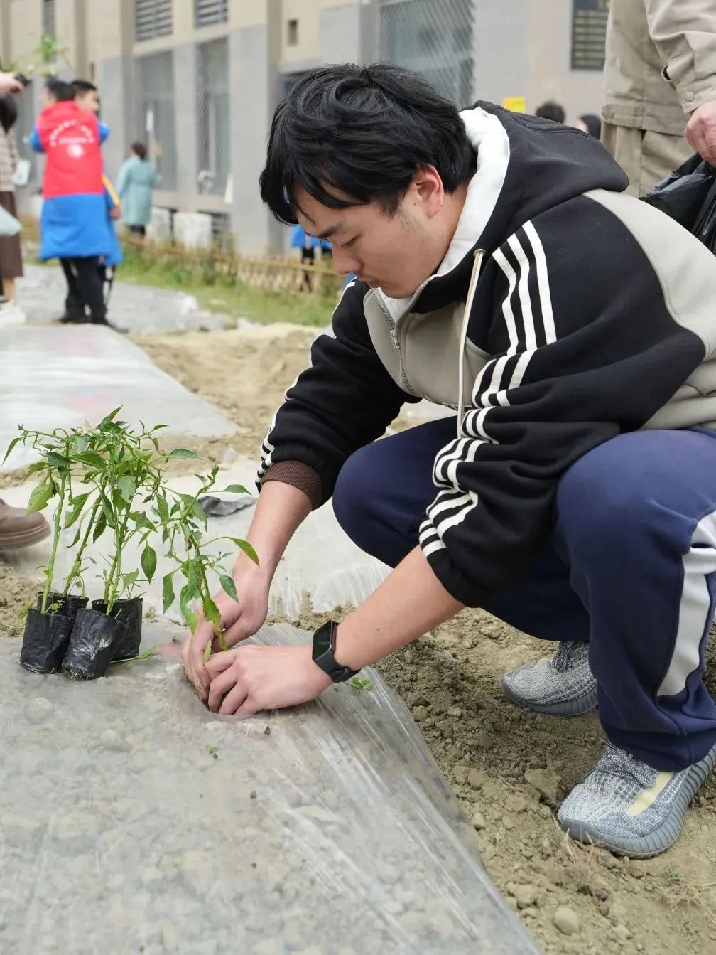 辣在舌尖,甜在心间——"花"样劳动教育让学生"劳"有所获