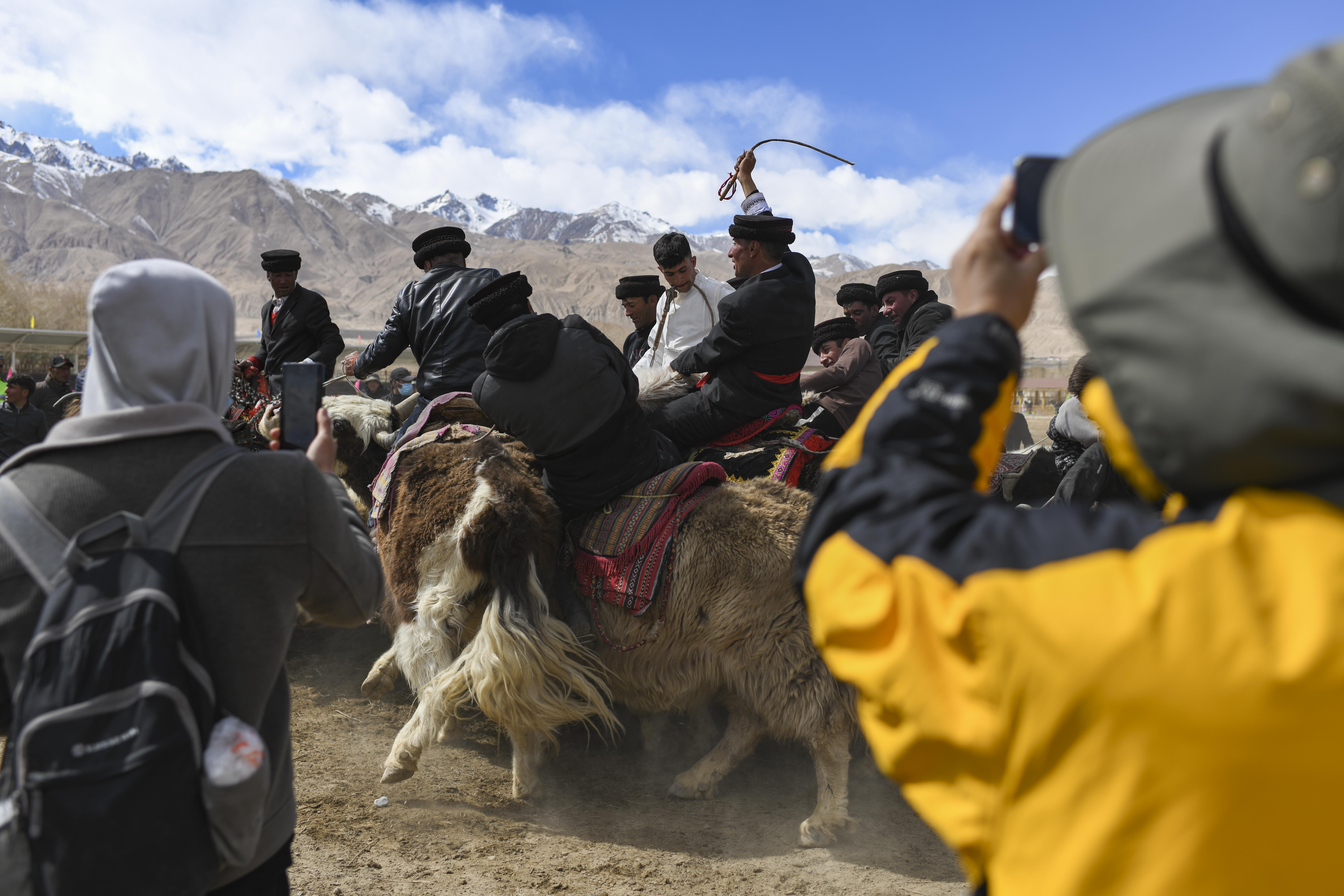 帕米尔高原上的牦牛骑士(2)