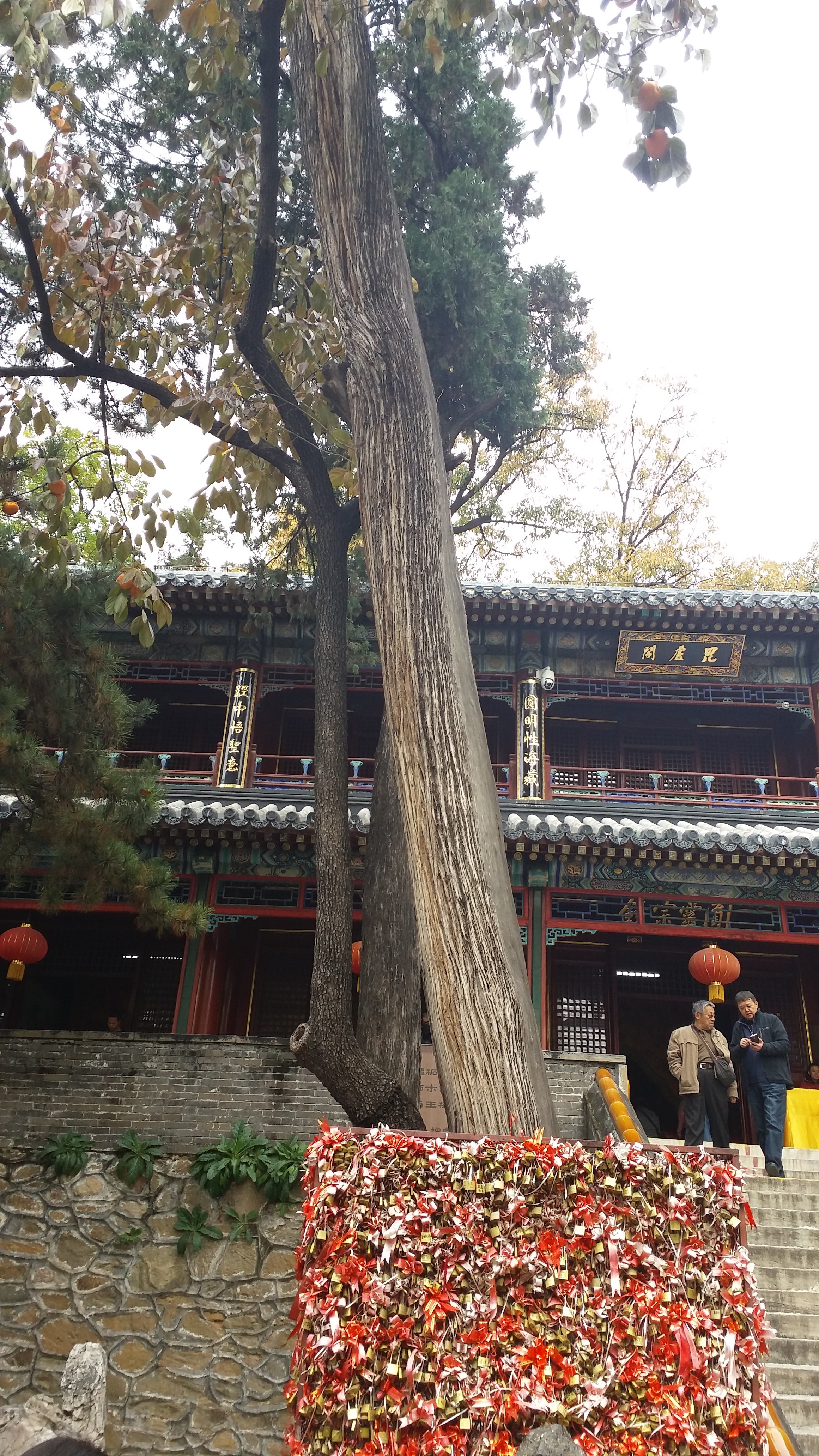 金秋的潭柘寺,这座皇家寺院更显千年古刹的独特魅力