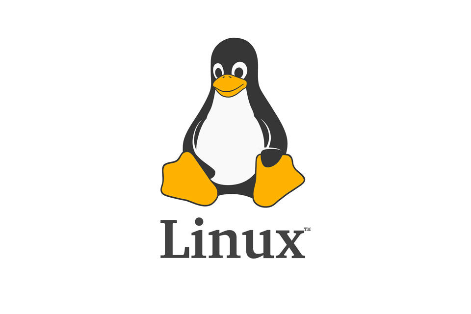 linux+$