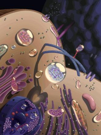 【学术前沿】nat chem biol | 吝易/李丕龙总结生物分子凝聚体研究