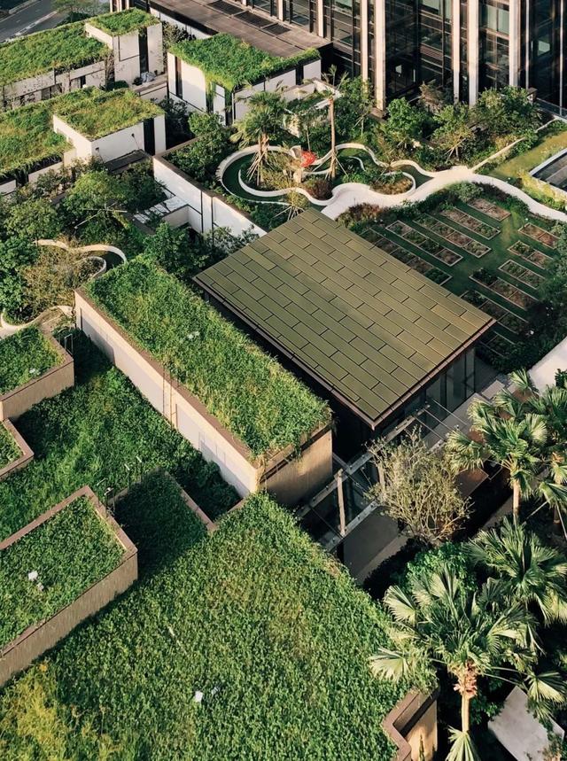 菜吧:10个火出圈的屋顶农场设计