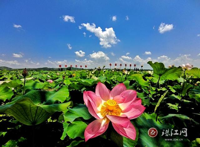 師宗縣彩雲鎮石洞紅色文化旅遊區獲批國家3a級旅遊景區