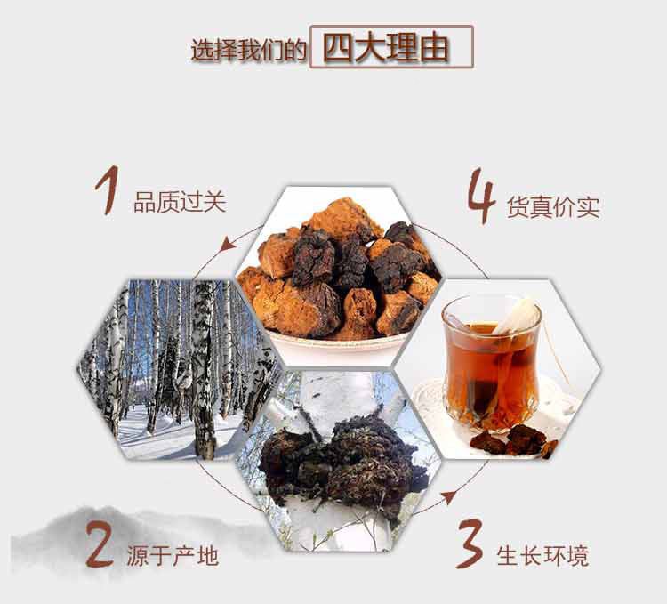 桦树茸精深加工 俄罗斯纯进口野生桦树茸