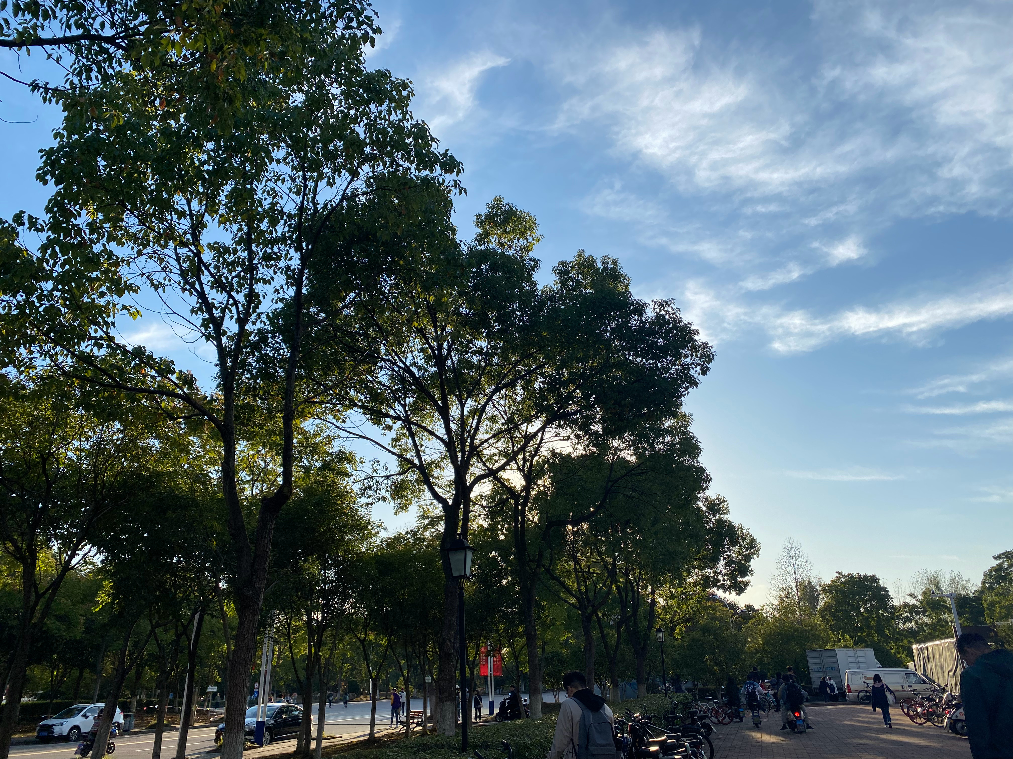 我这里的天气很好,你呢?南京·东南大学李文正图书馆