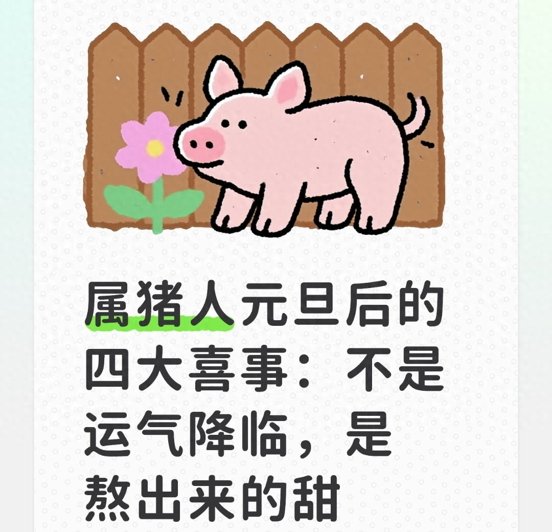 生肖猪十二个月运势(生肖猪12月运势)