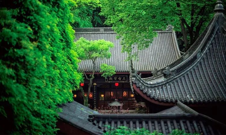 飞来寺海拔是多少米
