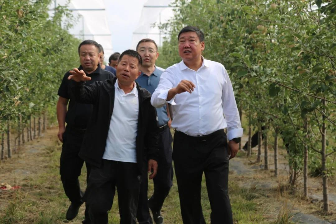 县委副书记,代县长高汉武到文安驿镇调研防止返贫监测,帮扶工作和产业