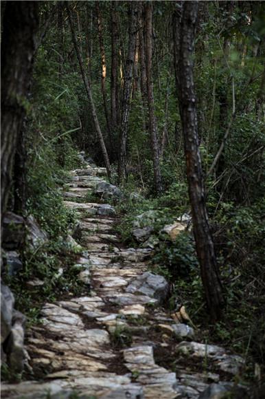 "人不负青山 青山定不负人—巫山红叶变"金叶 小小刻刀雕刻山乡新