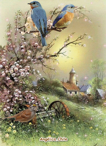 100张会动的照片,看一眼就入迷,太绝了!