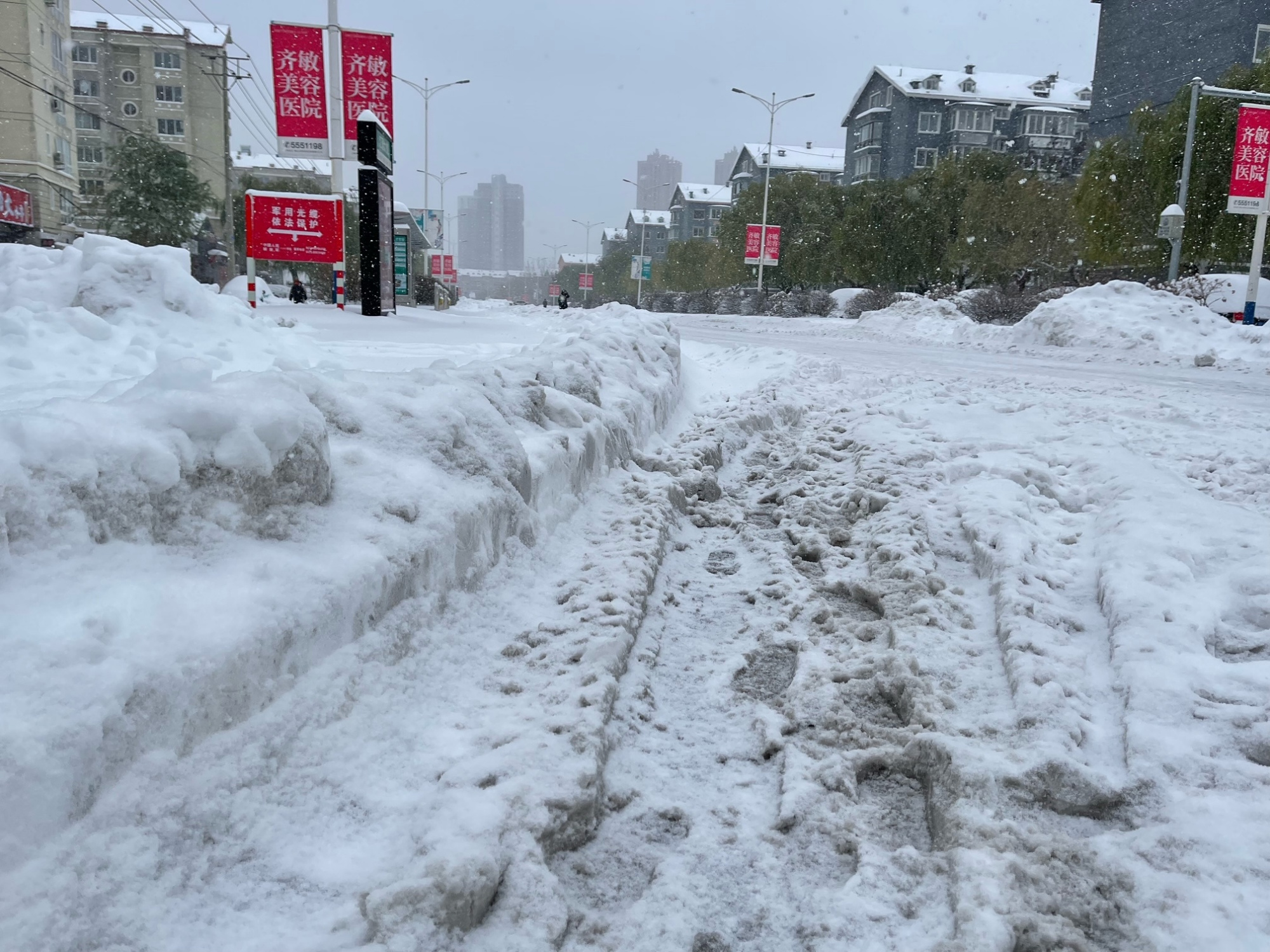 鞍山下雪图片图片