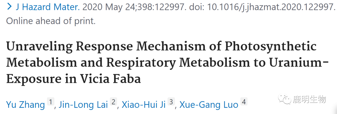 项目文章|接踵而来,西南科技大学罗学刚团队再发多组学植物铀毒性机制