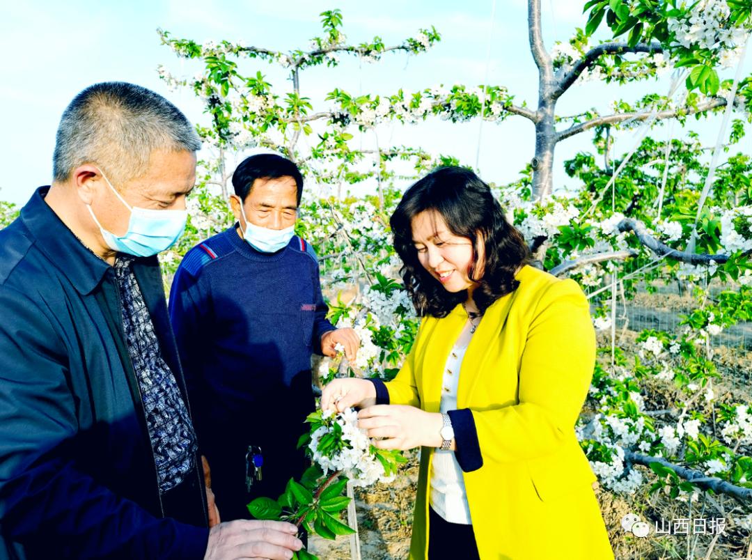 我们的新时代丨博士后张美萍:把科研论文写在田间地头