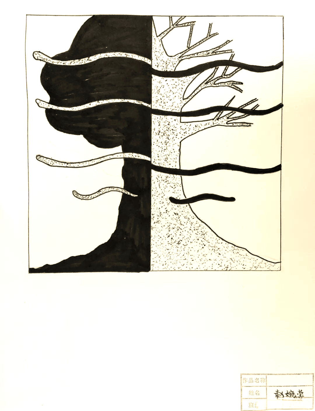 平面构成作业:对比与调和的完美结合