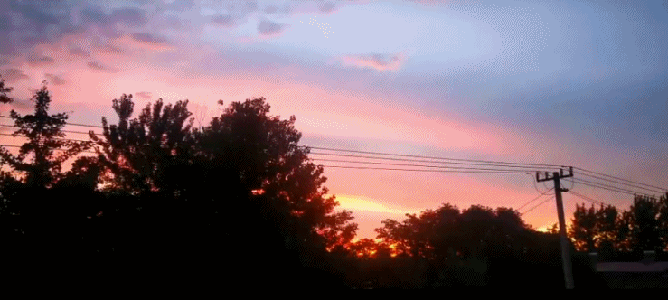 739_332gif 动态图 动图