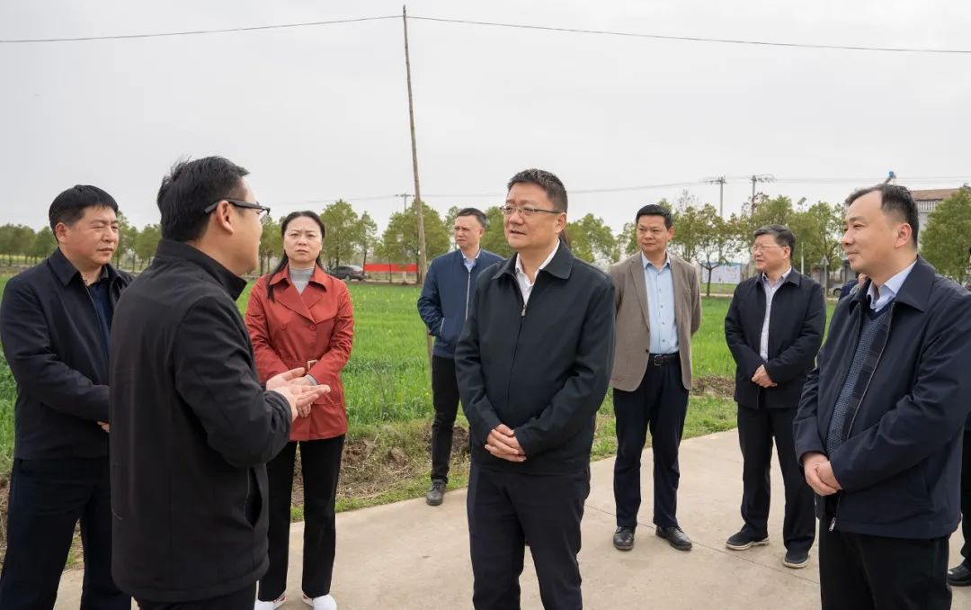 吴之凌检查森林防火暨调研林长制和春耕生产工作