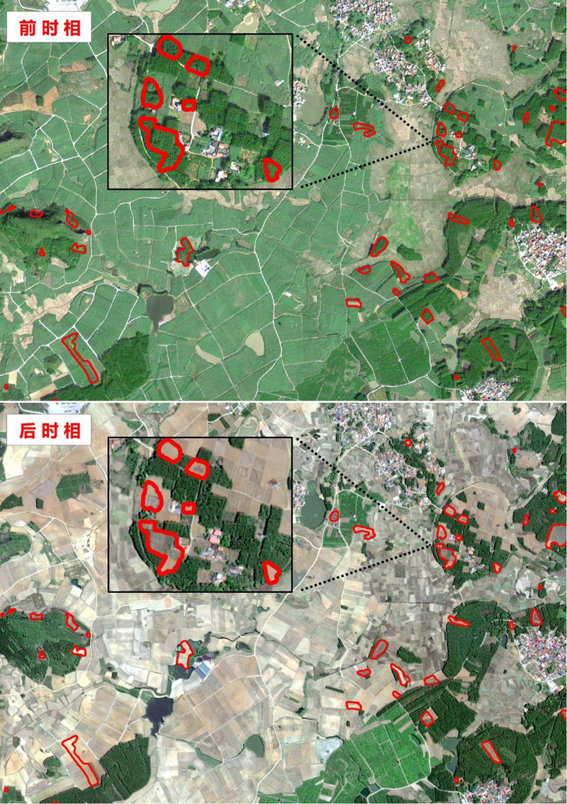 贺海波:保18亿亩耕地红线,不能"糊弄"了事