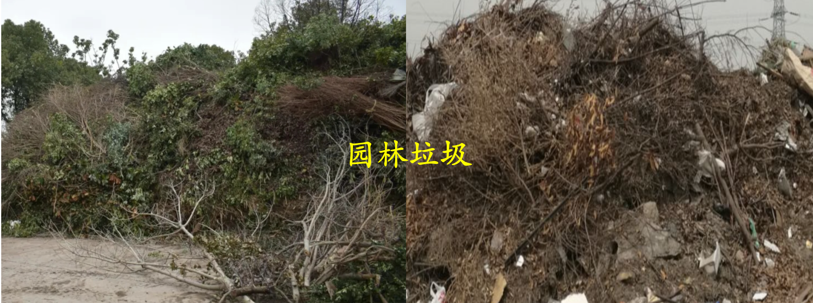 装修垃圾与大件垃圾,园林绿化垃圾可以协同资源化处理吗?