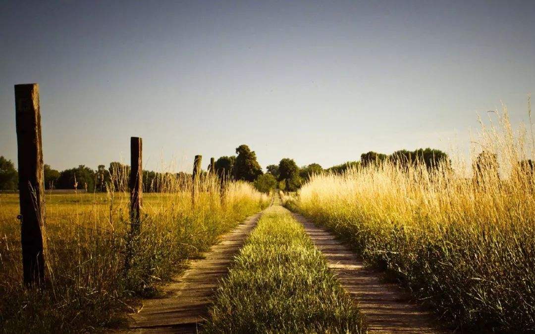 想要过什么样的生活,需要谋定而后动,运用倒推法