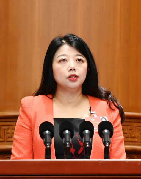 在沪全国政协委员蒋颖:用三大思维帮扶企业