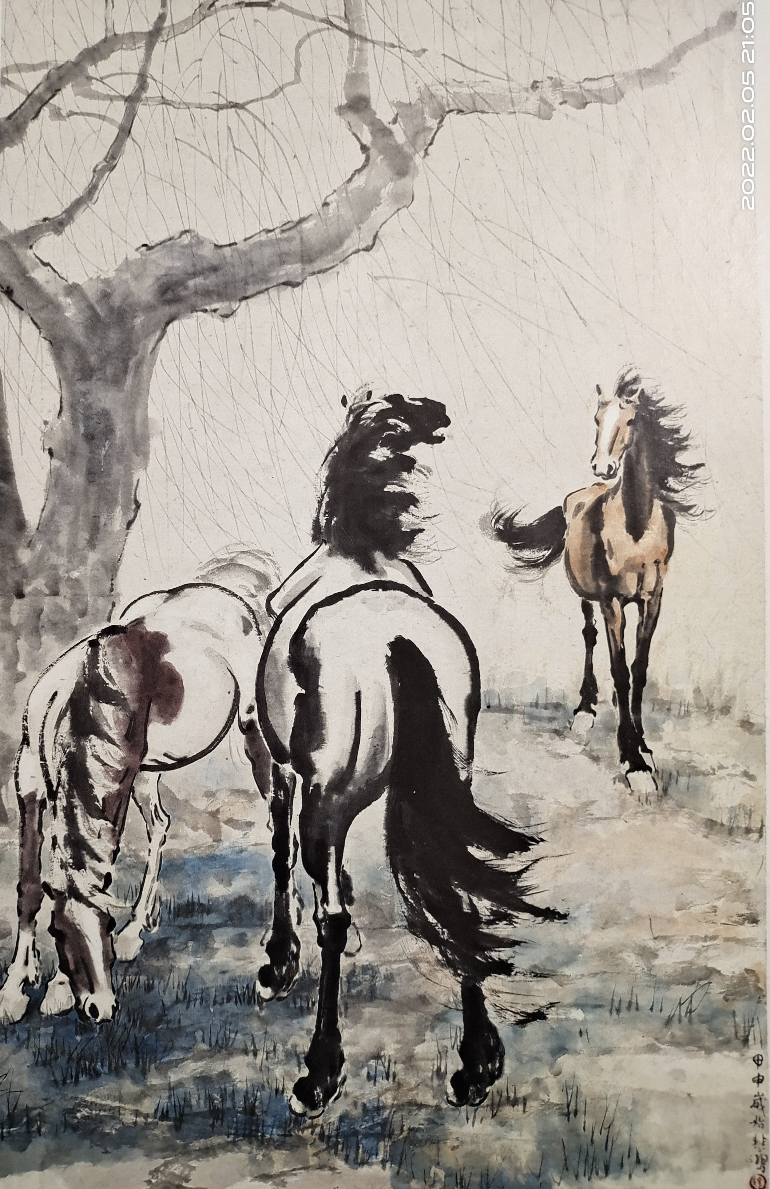 "悲鸿马"与历代名家画马有什么不同