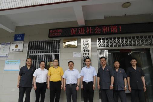 市人大常委会李碧华主任及专家学者调研应城法院人民法庭与人大代表"