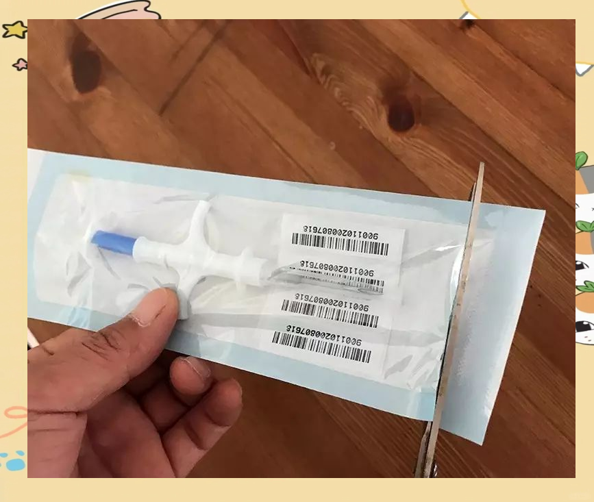 如何为狗狗植入芯片并确保安全